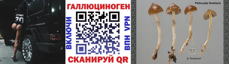 Псилоцибиновые грибы мухоморы  продажа наркотиков  Бор 